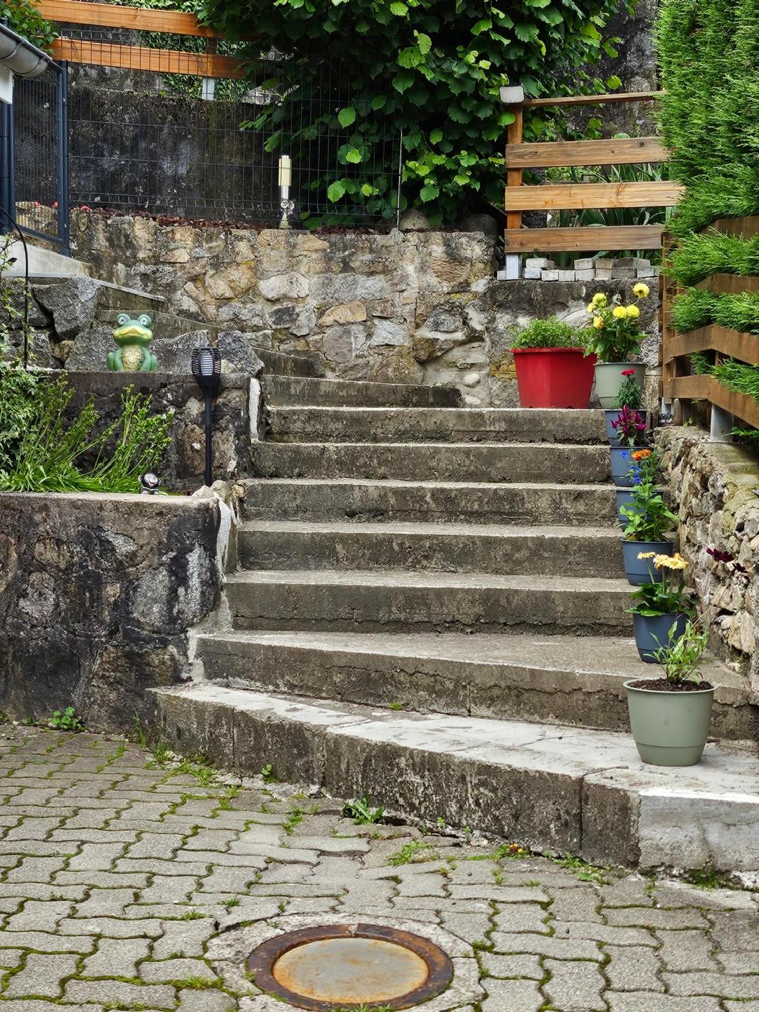 Gite Vallee De Munster 3 Etoiles Chez Flavie & Ludo Muhlbach-sur-Munster Exteriér fotografie